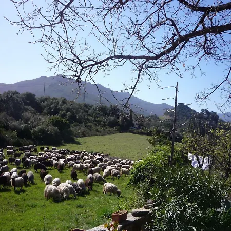 Bed & Breakfast A Di A Vigna